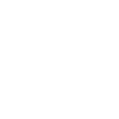 Zicer.org